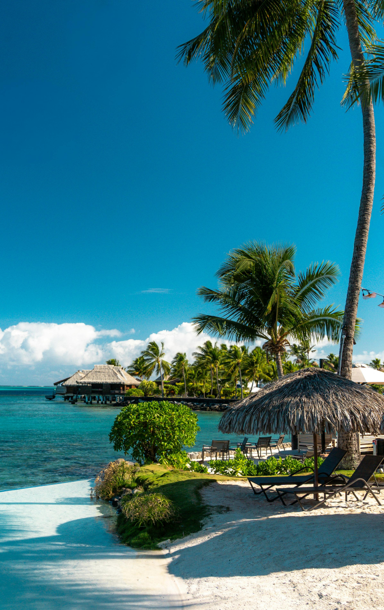 Sea view, blue sky, palm trees. White sandy beach.