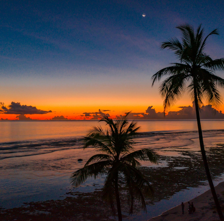 Tropical beach at dusk with palm trees silhouetted against colourful sunset sky and crescent moon over calm ocean shoreline.

