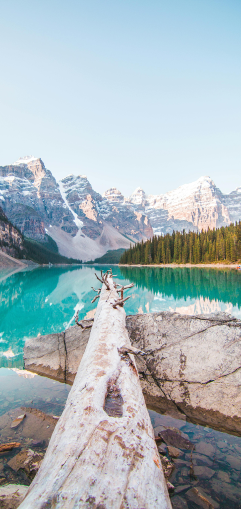 Turquoise alpine lake with fallen log in foreground and snow-capped mountains reflected in clear water.