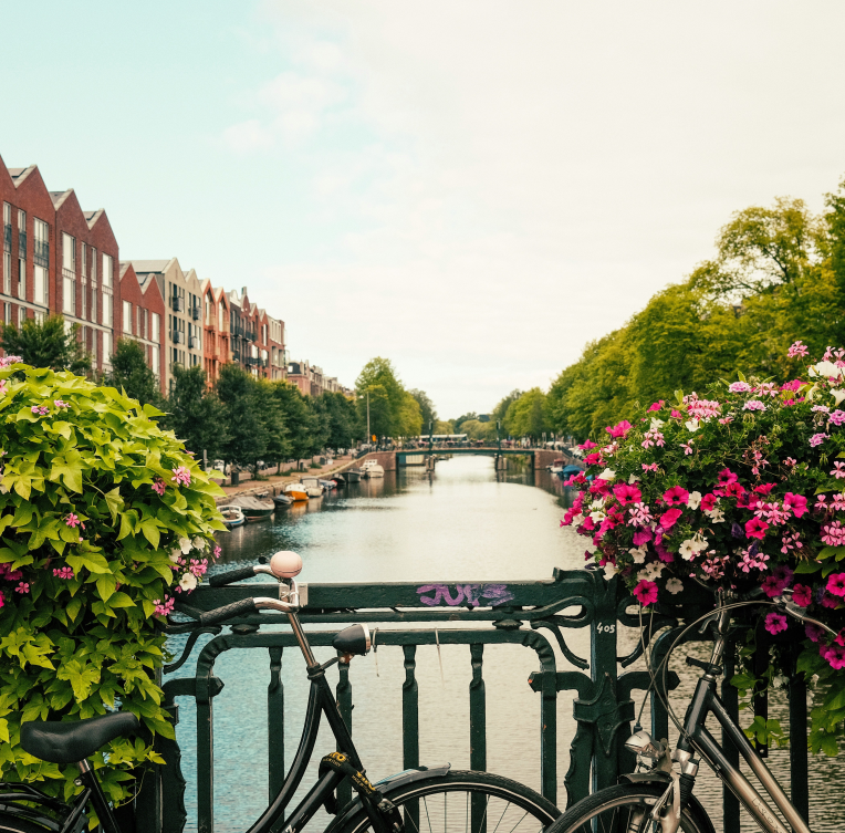 Scenic Amsterdam canal view from a bridge with bicycles and vibrant flowers on a summer day.