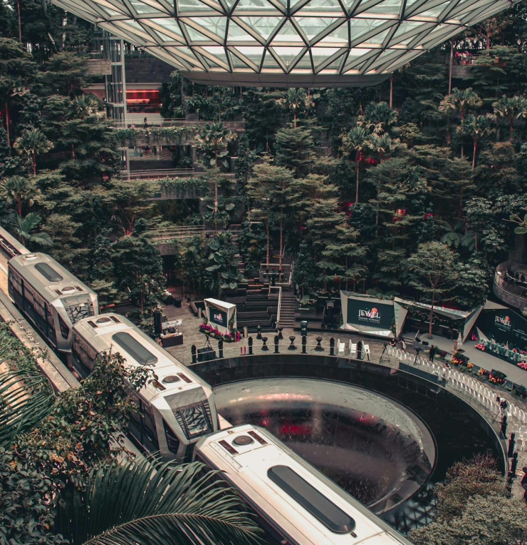 Skytrain passing through Jewel Changi Airport’s indoor forest with a view of the Rain Vortex and glass roof in Singapore.