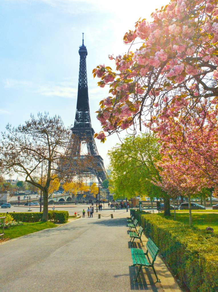 Eiffel Tower in Paris surrounded by blooming cherry blossoms and park pathways on a sunny spring day.