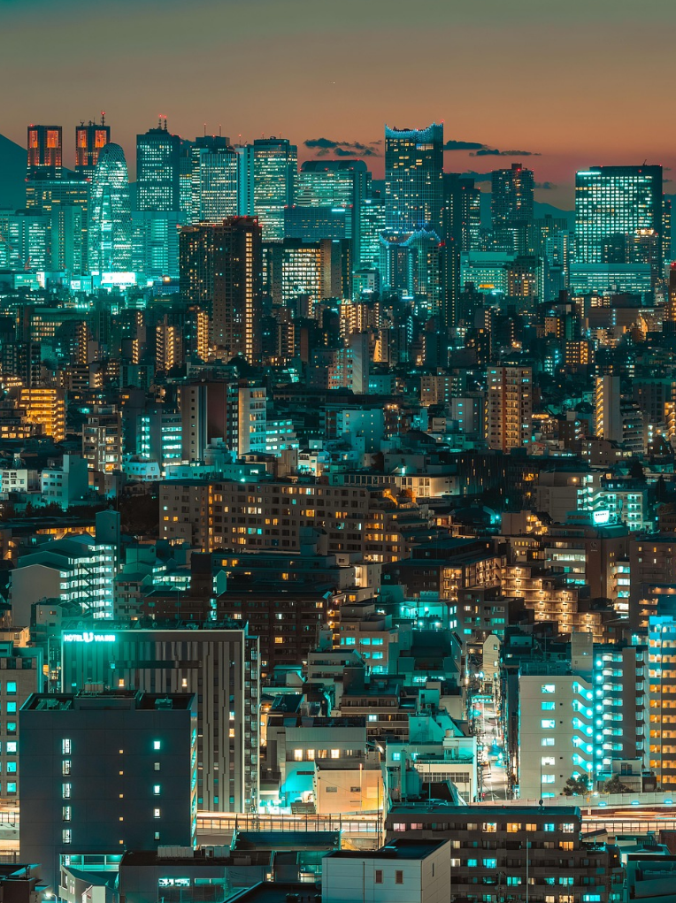 Tokyo city skyline at dusk with illuminated high-rise buildings and dense urban neighbourhoods.