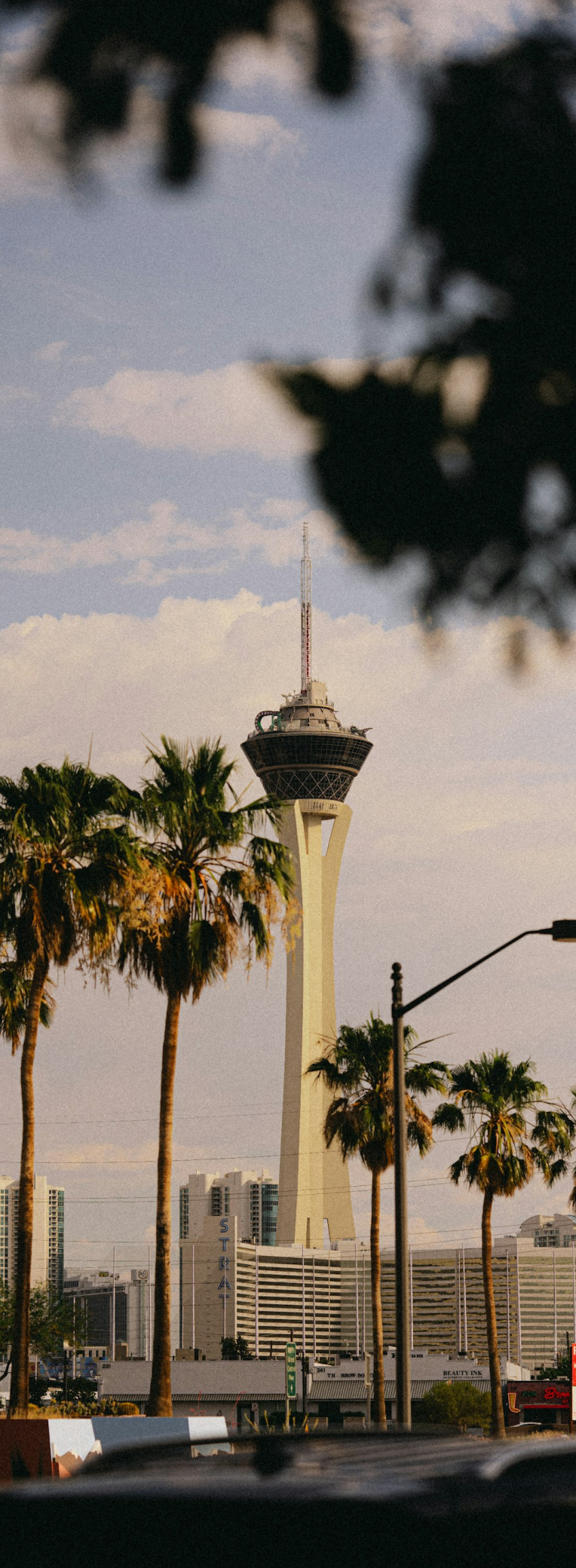 The STRAT (Stratosphere) Tower rising above Las Vegas skyline framed by palm trees on a sunny day in Nevada.