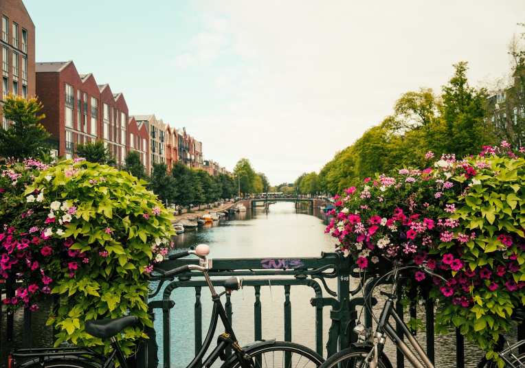 Bicycles parked on a bridge over an Amsterdam canal with colourful flowers, historic houses and trees lining the water in the Netherlands.
