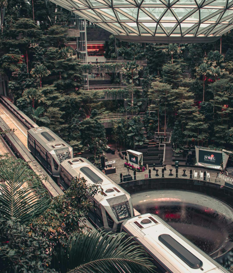 Skytrain passing through Jewel Changi Airport’s indoor forest with a view of the Rain Vortex and glass roof in Singapore.